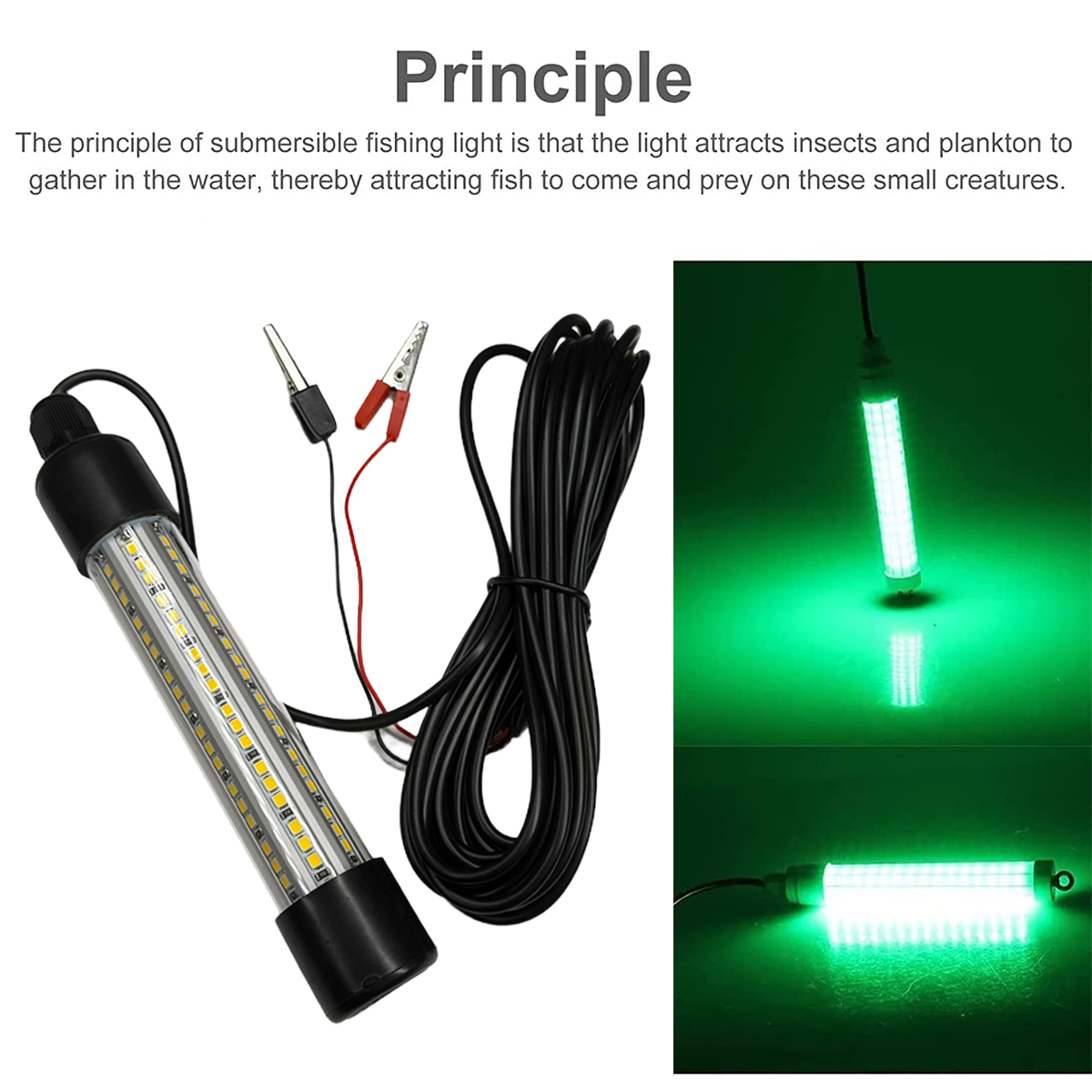 ไฟตกปลาใต้น้ำ Led Fishing Fish - Fishing Boat Navigation Light บทวิจารณ์และราคา